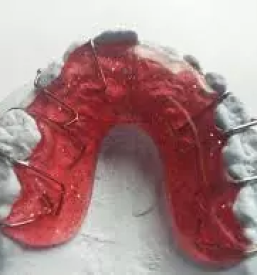 Ortodont maribor
